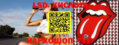 крисы Кунгур