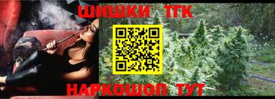 крисы Кунгур