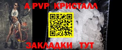 крисы Кунгур
