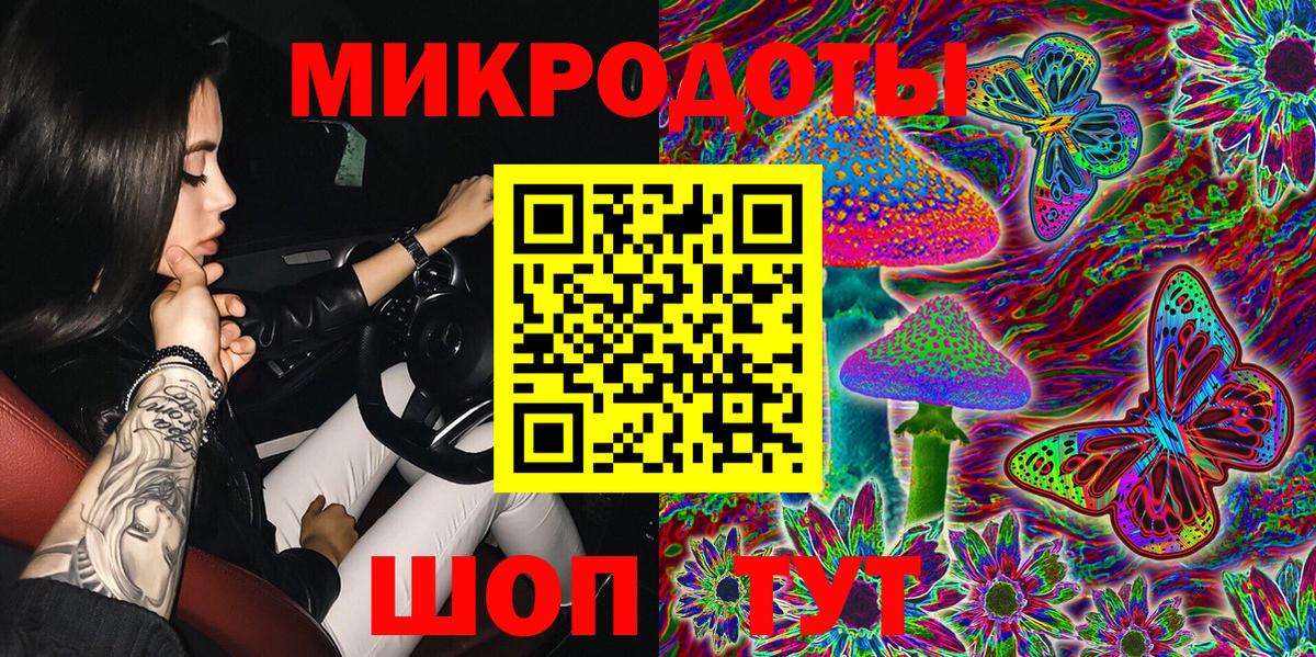 Псилоцибиновые грибы Psilocybe Кашира
