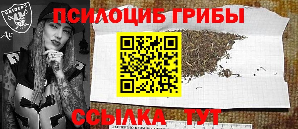 Кашира  Псилоцибиновые грибы GOLDEN TEACHER  Вход с VPN 